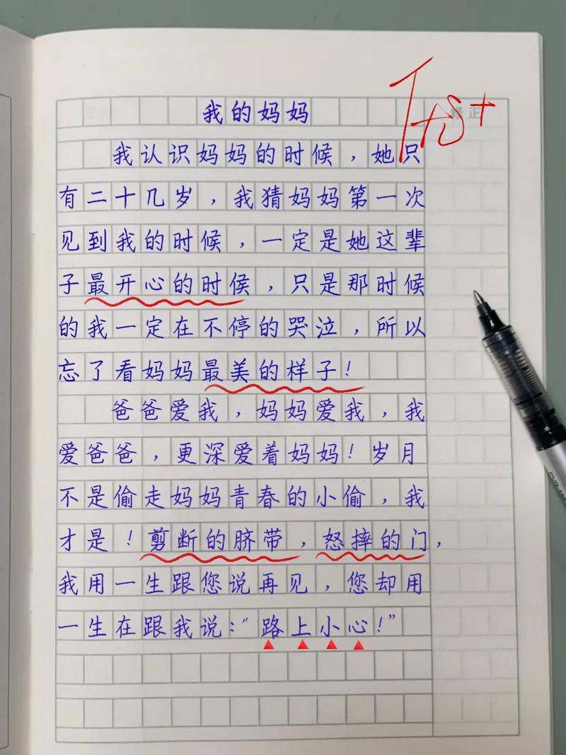 妈妈替换角色作文