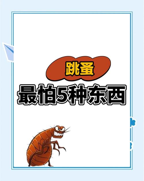 恐怖玩具的生活小常识